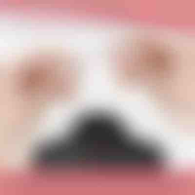 Magnetna zaponka za ogrlico (12 kosov) | MAGILINK